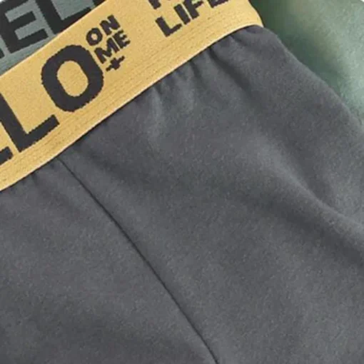 4Pcs Boxer Men's Underwear - Image 4