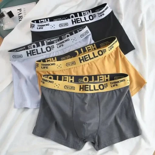 4Pcs Boxer Men's Underwear - Image 2