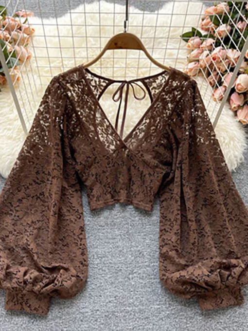 Autumn Elegant Lace Blouse
